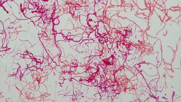malba větrem, wind drawing