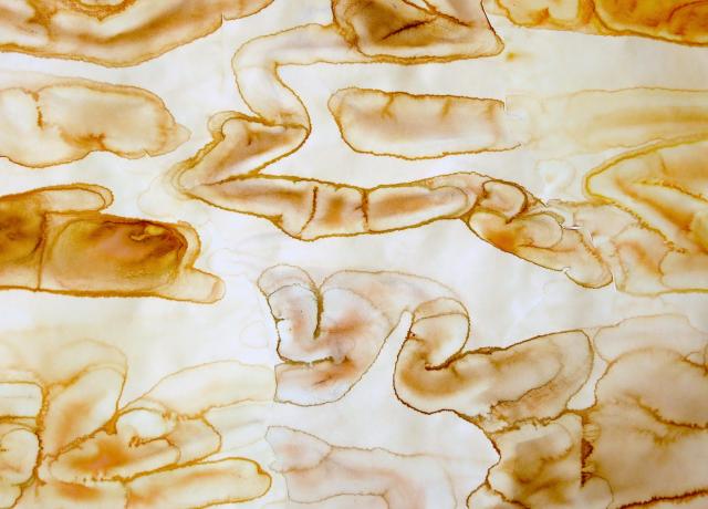 Karlotta Blöndal, Frontiers of Solitude (union). Flag pole, aquarelle on paper (detail), 2015.