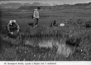 1948, Czechoslovak Expedition to Iceland