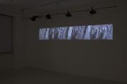 instalace Fotograf Gallery, photo: Tomáš Hrůza, 
