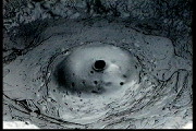 Orka, multiscreen audiovideo installation, vasulkaarchive, videostill
