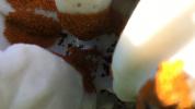 Marble Warble,  2016, 4:21, col, stereo. videostill
